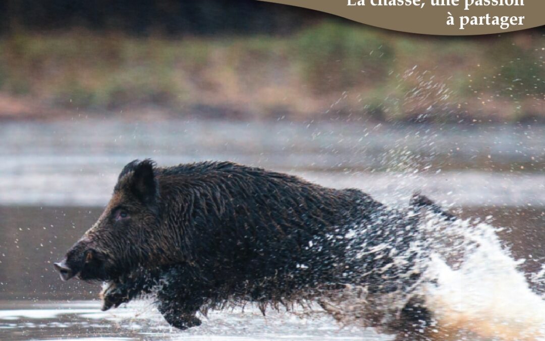 Avril 2026 – N°54