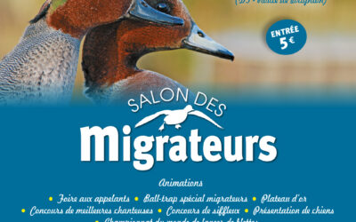 Salon des migrateurs