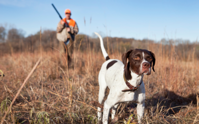 Challenge National Chasseurs de France